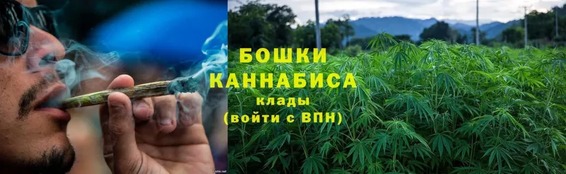 Бошки Шишки OG Kush  Лесосибирск 